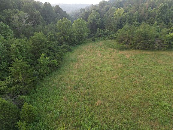 14th image of 597 Lost Hollow Rd