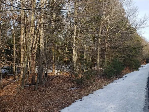 Haddock Road, Monticello, NY 12701