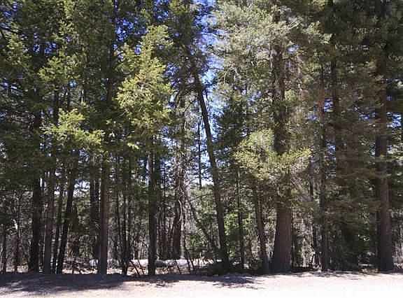 5th image of Little Bear Lot 17
