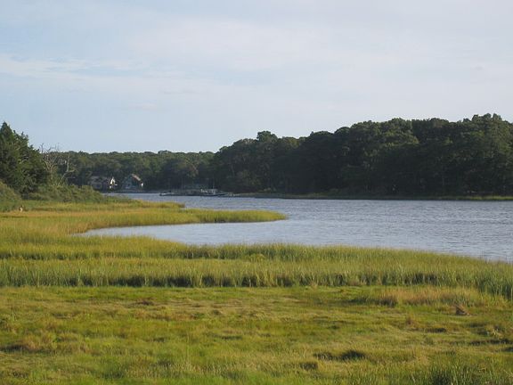 View From Across The Creek