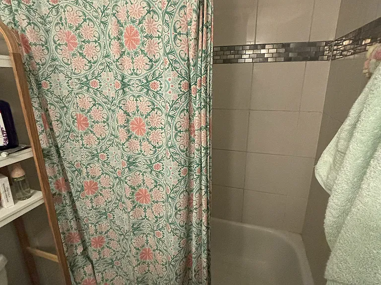 1231 N Downing St #205 — Photo 8