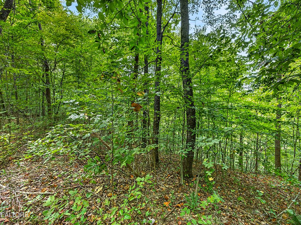1st image of 30 Timber Ridge Ln