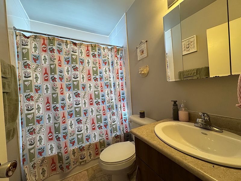 Winnipeg Apartment for rent - 1 Bedroom — photo 13