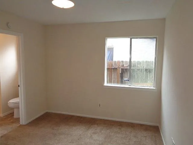 10211 Golden Sunshine Dr — Photo 4