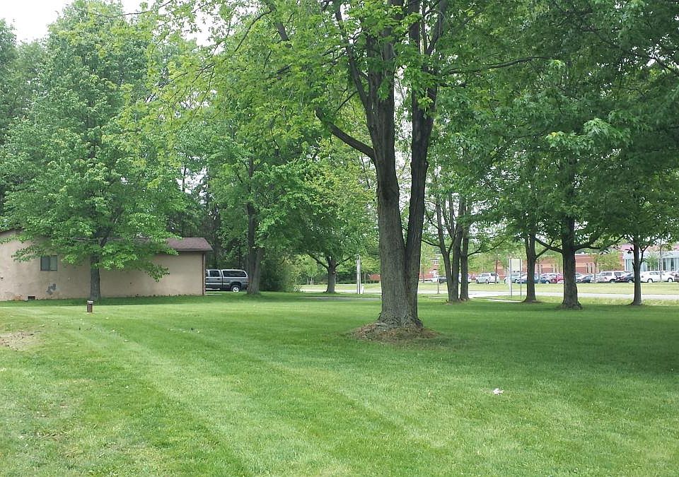 Huge yard