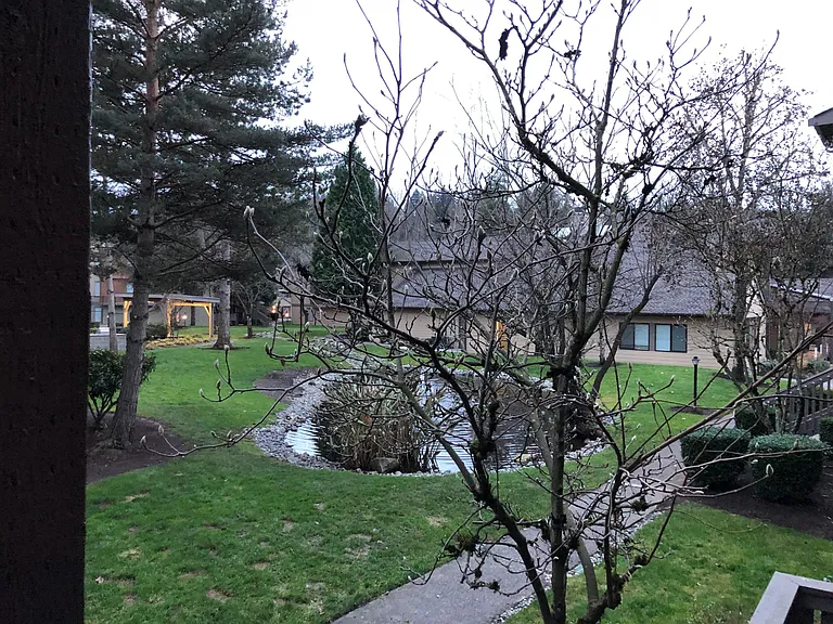 Campbell Run Apartments — Photo 62