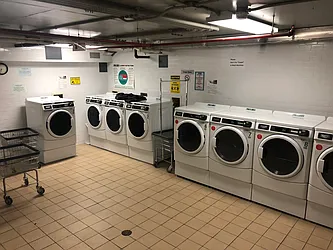 Rented by Project Queens LLC