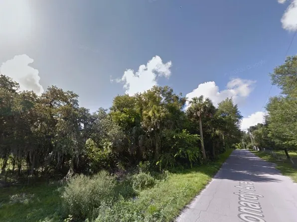 0 Longwood Dr Lot 1, Osteen, FL 32764