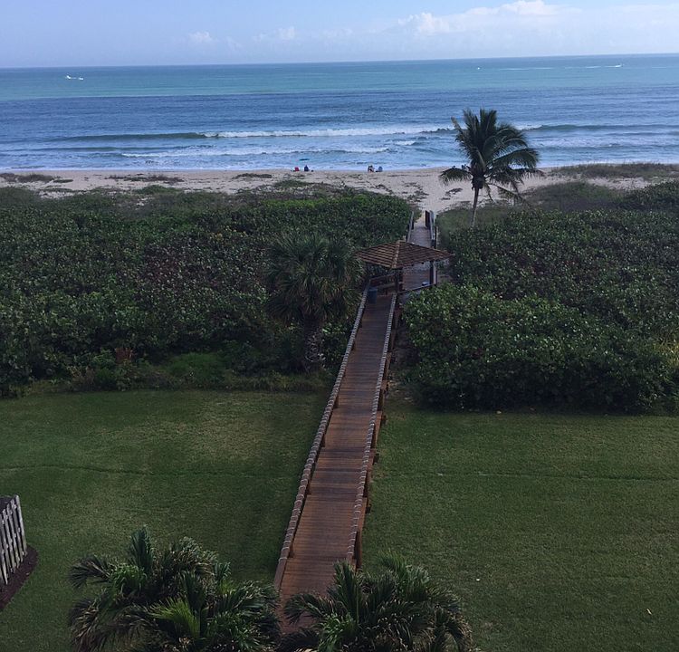 Ocean view