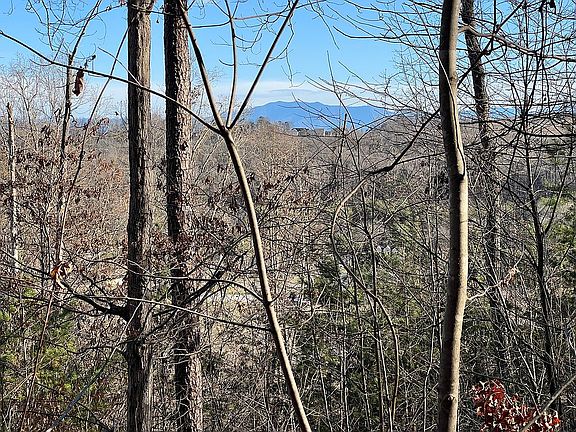 4th image of Mountain Grove Ln Parcel 9.00