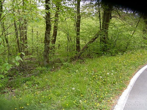 4th image of Tbd Little Sugar Lane