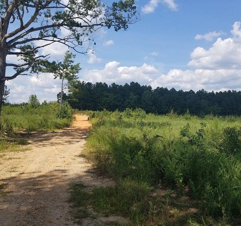 0 Tutelo Trl Hollister, NC, 27844 Apartments for Rent Zillow