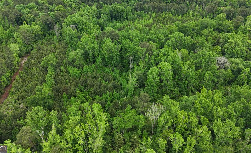1st image of 0 Dorton Creek Rd
