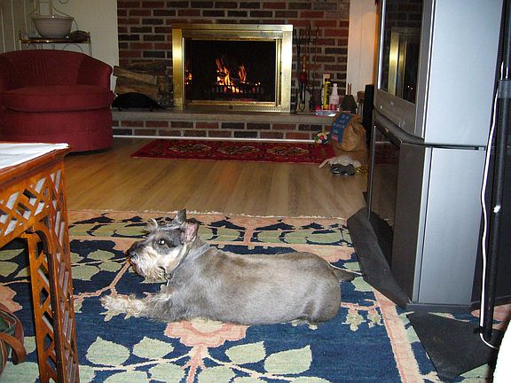 Warming Fire