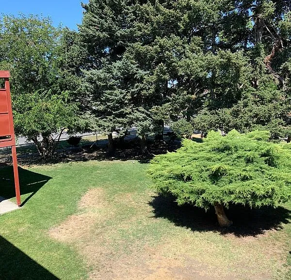 624 W Yakima St #204 — Photo 11