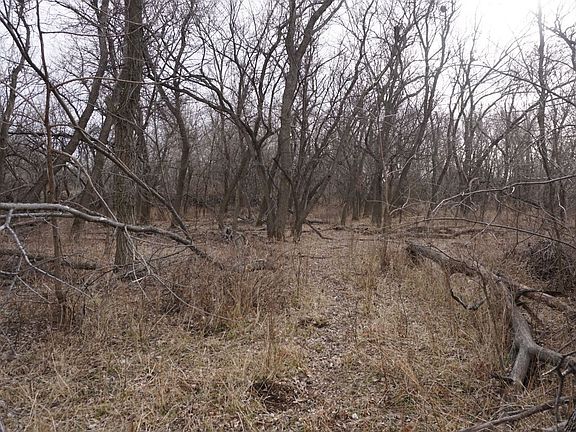 Brushy creek bottom looking south