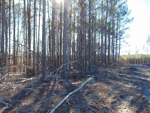 4th image of TRACT 30 Hallowed Hills Ln SE