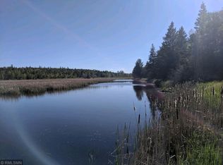 138 Tbd County Rd, International Falls, MN 56649