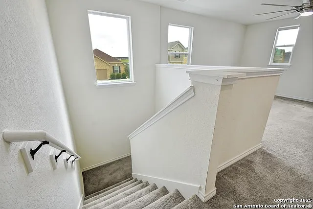 3302 Uresti Flds — Photo 17