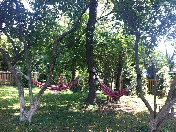 Hammocks in yard