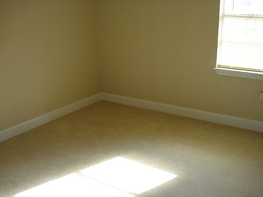 4th image of 4211 Dalmatian Dr