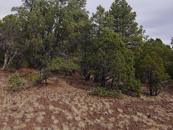 4th image of 24 N 3262nd