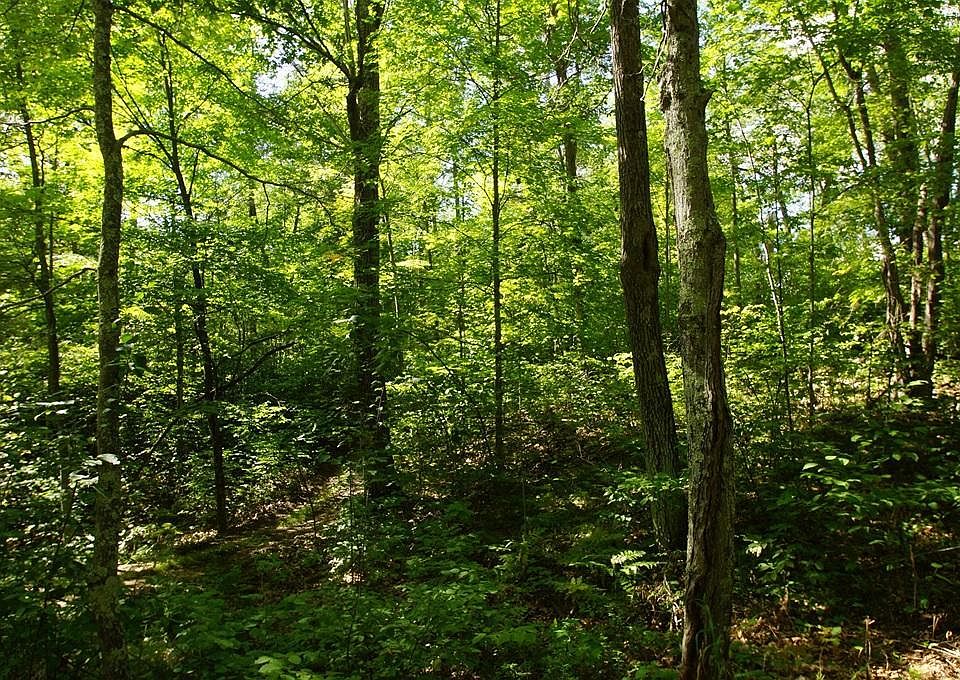1st image of 48XX White Birch Dr NE