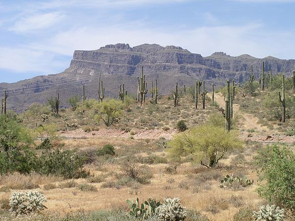 4th image of 9267 E Superstition Mountain Dr