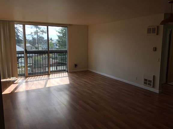 Floor to Ceiling Windows - Tree Lined View