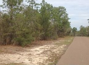 4th image of 4368 N Dodge City Dr