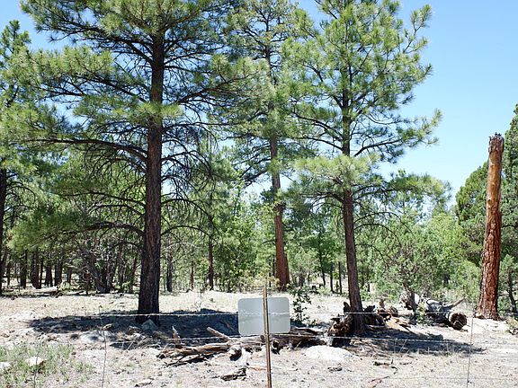 3rd image of 1874 Sugar Pine Dr