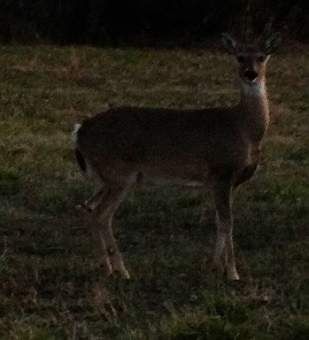 3rd image of 2405 County Road 448