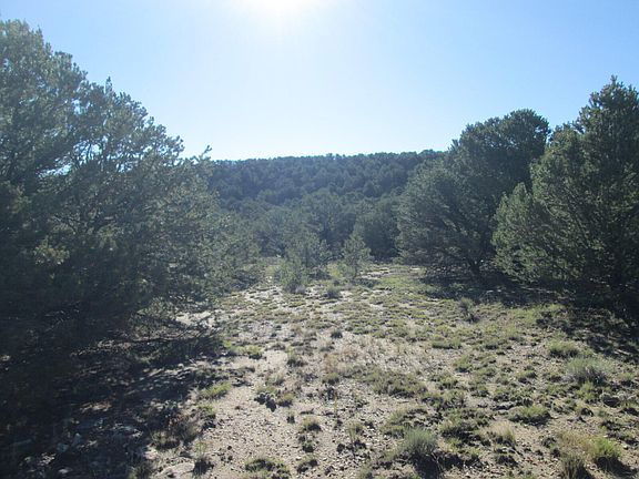 3rd image of 197 Cl&g Cir #2