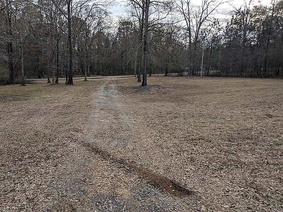 3rd image of 217 Shadow Oaks Dr