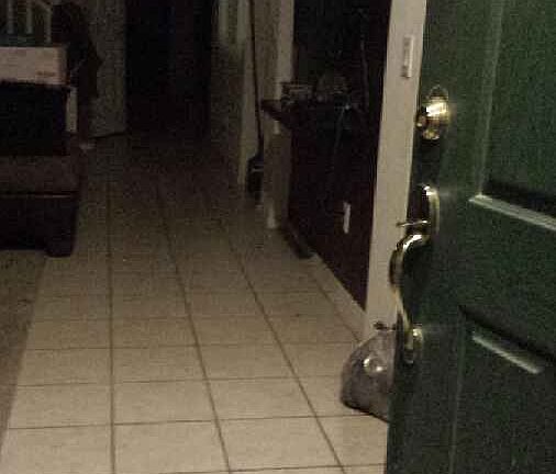 4th image of 229 N 76th Pl