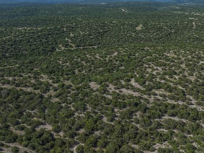 0 Deer Canyons Ranch East LOT 15, Rocksprings, TX, 78880