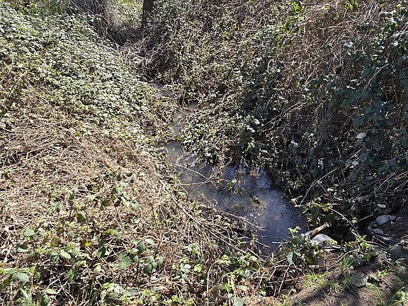 2nd image of 0 Tiller Trail Hwy