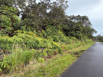 Nahelenani St Lot 53-B-37, Volcano, HI, 96785
