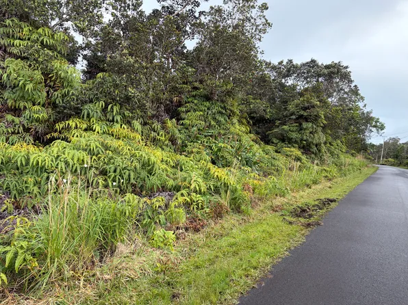 Nahelenani St Lot 53-B-37, Volcano, HI 96785