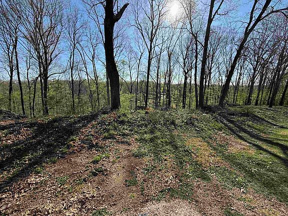 2nd image of 335 Shoreline Dr