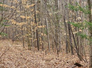 S Jones Rd, Glennie, MI 48737