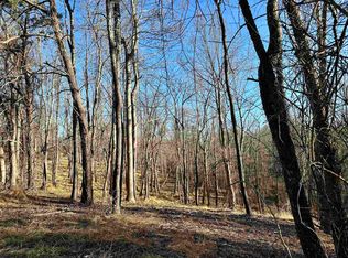 TRACT Penn Rd NW #B, Floyd, VA 24091