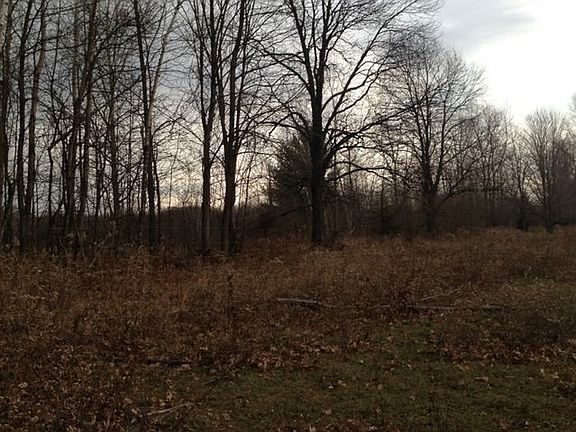 Fall Northwest side of prope