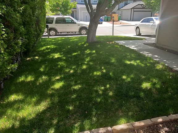 Front Yard