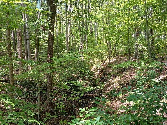 3rd image of 22 Piney Mountain Ln