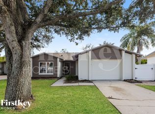 1739 Lakeview Village Dr, Brandon, FL 33510