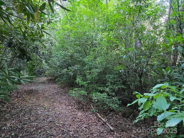 2 W Pine Ridge Rd, Burnsville, NC 28714