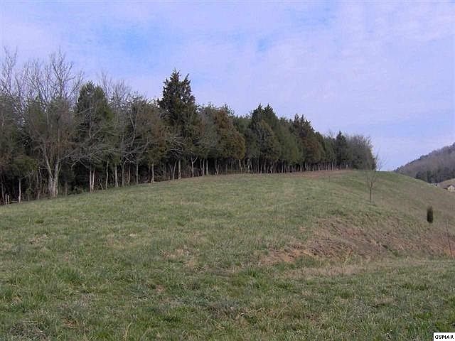 1st image of 12 Alvins Ridge Dr Lot 1&2