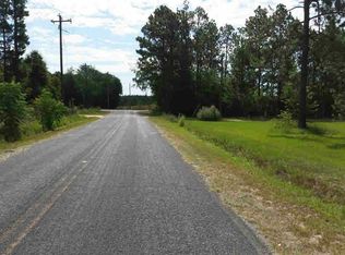 117 Sandspur Rd, Pelion, SC 29123