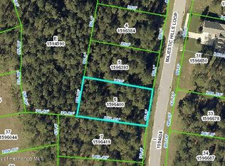 4835 Majestic Hills Loop, Brooksville, FL 34601